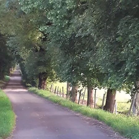 Le Nid Des Avezous Villa Aveze  Buitenkant foto