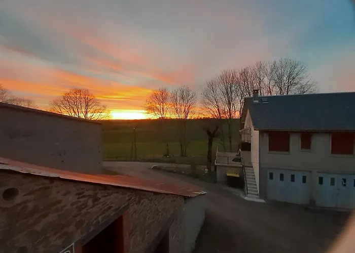 Le Nid Des Avezous